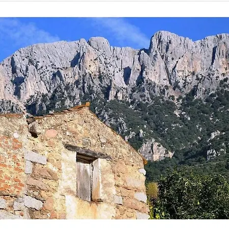 Panoramic House Holiday home Oliena