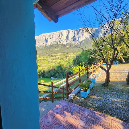 Panoramic House
