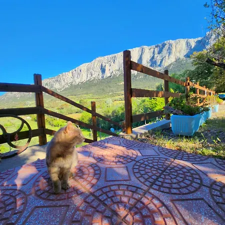 펜션 Panoramic House *