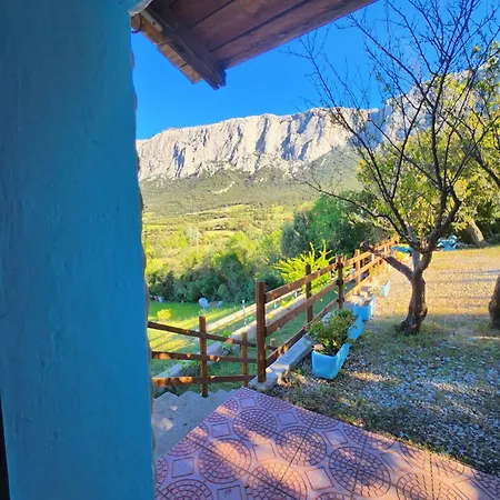 Panoramic House